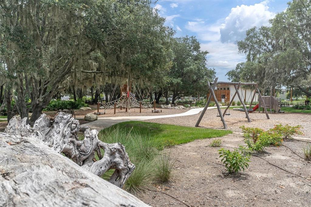 3940 Woods Rider Loop Odessa, FL 33556 - Photo 49 of 53 Gallery Image 49
