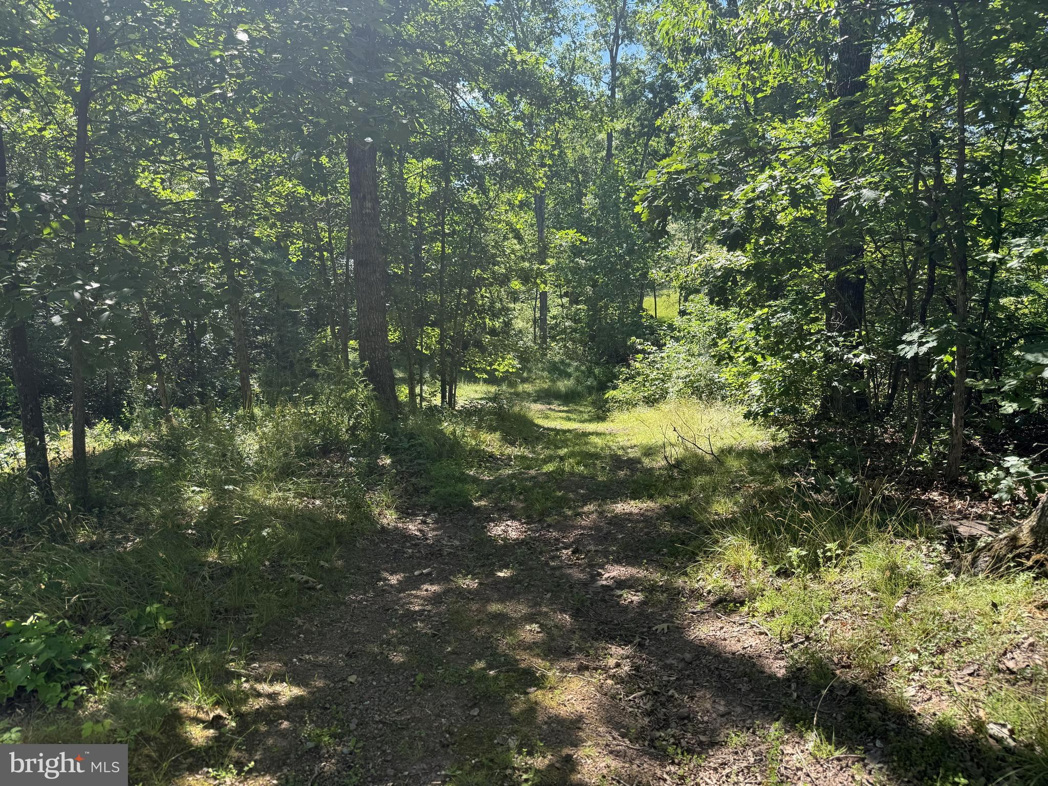 750 Hickory Corner Road Augusta, WV 26704 - Photo 33 of 49 Trails to Ride ATVs or Hike!