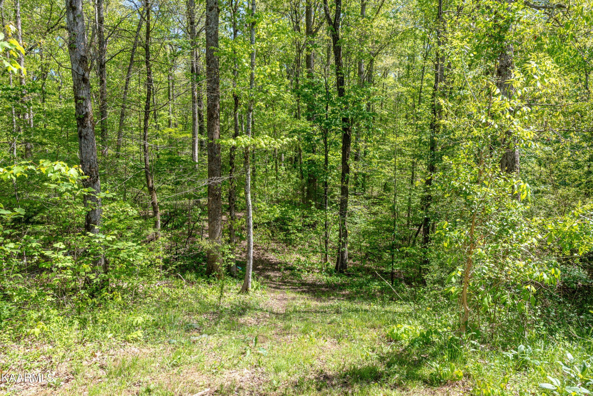 2425 Tipton Loop Road Maryville, TN 37803 - Photo 45 of 60 Gallery Image 45