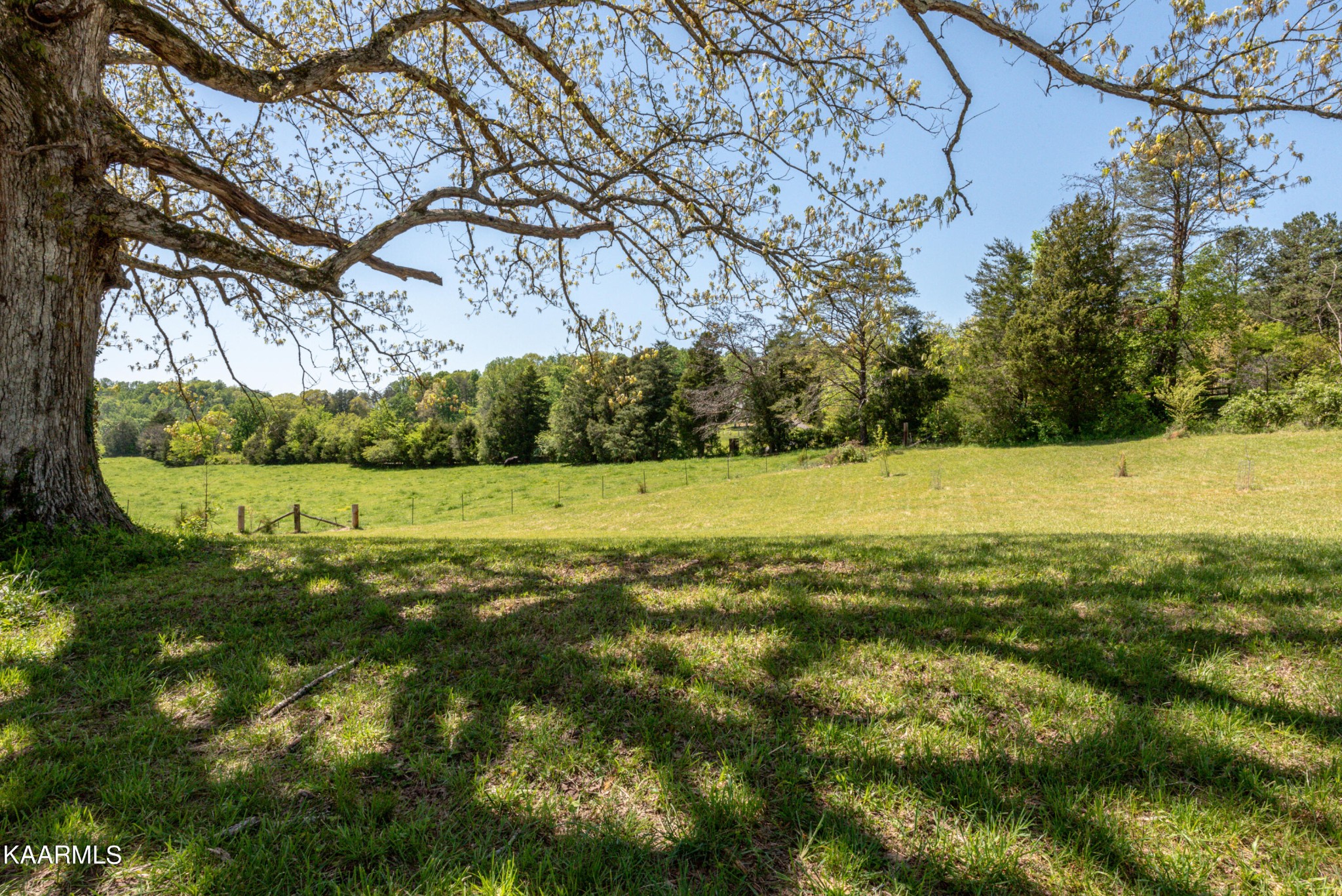 2425 Tipton Loop Road Maryville, TN 37803 - Photo 59 of 60 Gallery Image 59