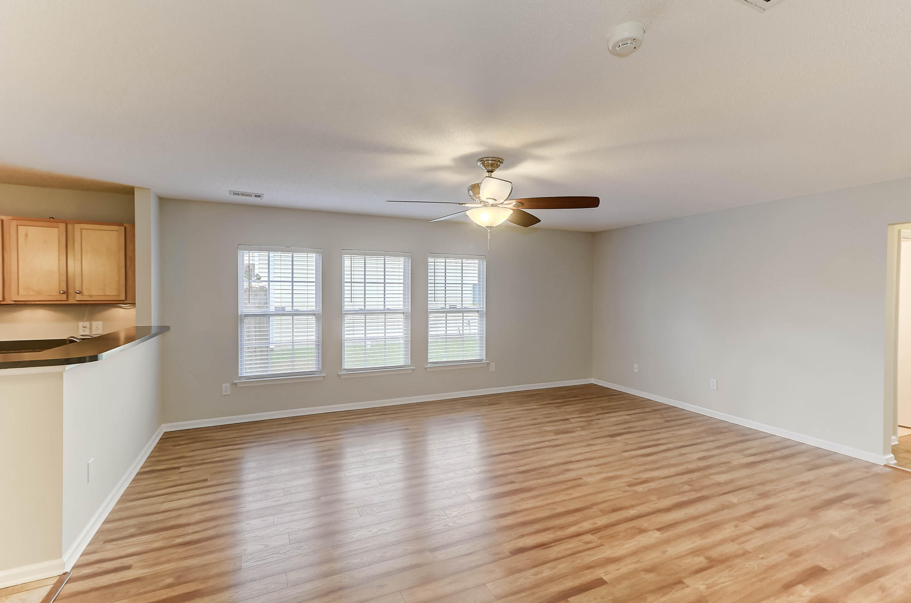 1152 Deerberry Road Hanahan, SC 29410 - Photo 9 of 35 1152 Deerberry (31)