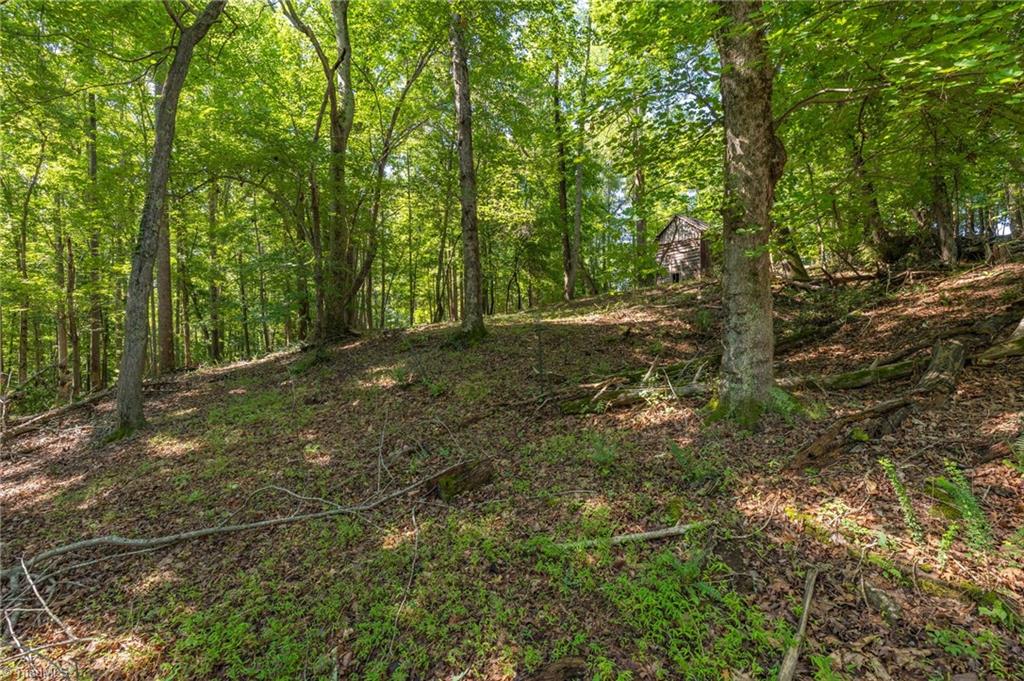 7289 Plunkett Road Stokesdale, NC 27357 - Photo 16 of 27