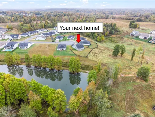 a view of swimming pool with a garden and trees in the background