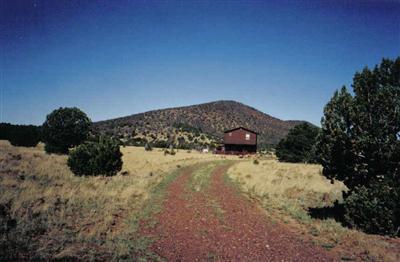 1 Spring Valley Road, Unit 2 Williams, AZ 86046 - Photo 1 of 11 Primary Photo