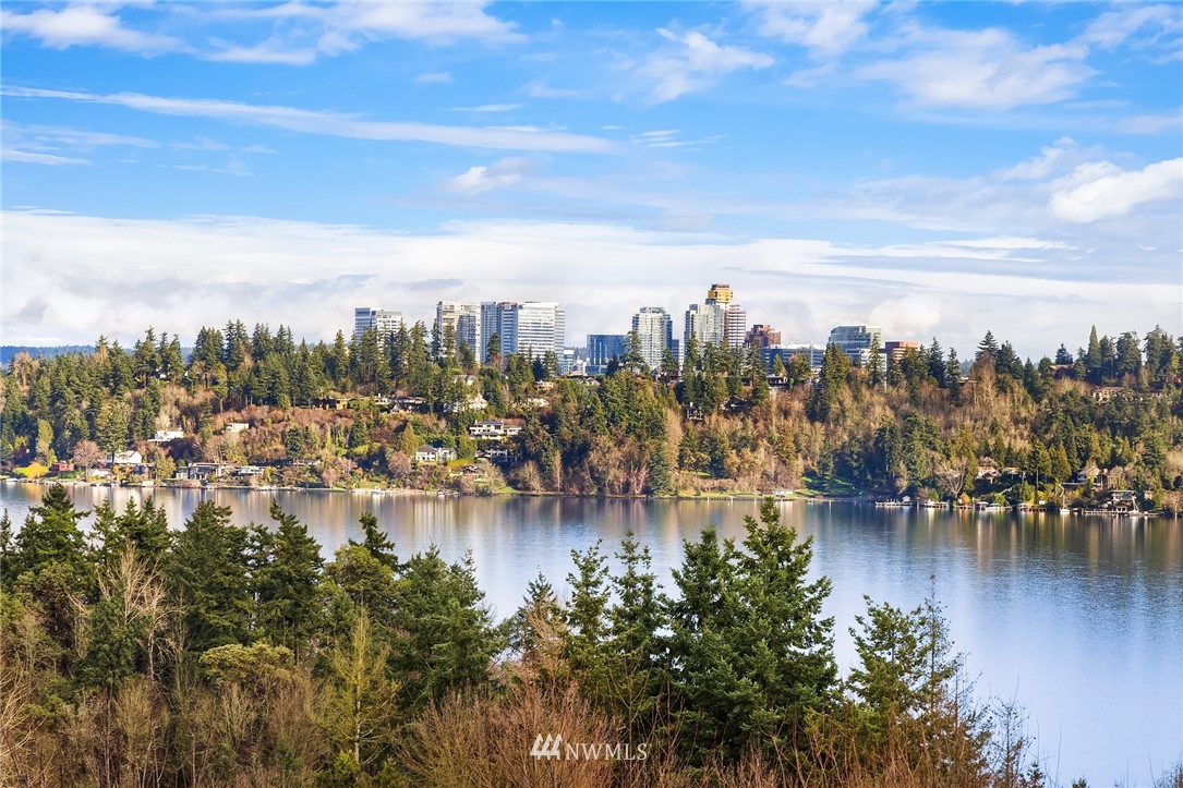 a view of a city with water view