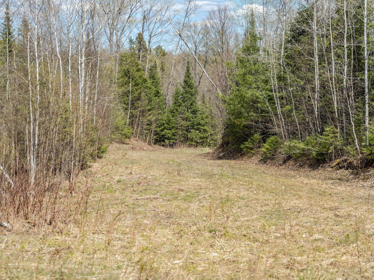 6911 Cramer Lake Road Mercer, WI 54547 - Photo 25 of 28 Gallery Image 25