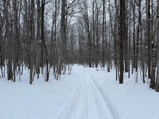 8453-8455 White Road Indian River, MI 49749 - Photo 47 of 56 IMG_2515
