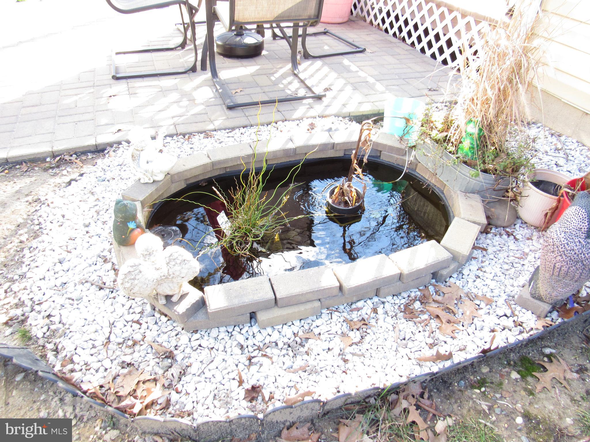 1165 Steamboat Road Shady Side, MD 20764 - Photo 7 of 51 Koi pond