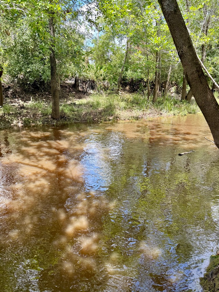 Tbd Borders Road Wewahitchka, FL 32465 - Photo 4 of 14