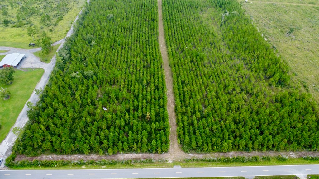Tbd Borders Road Wewahitchka, FL 32465 - Photo 5 of 14