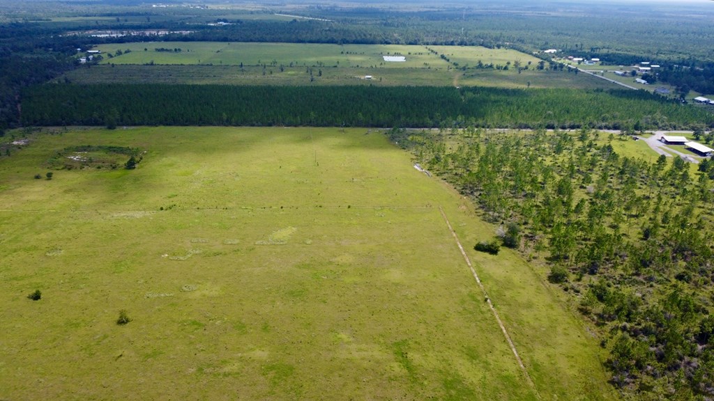 Tbd Borders Road Wewahitchka, FL 32465 - Photo 8 of 14