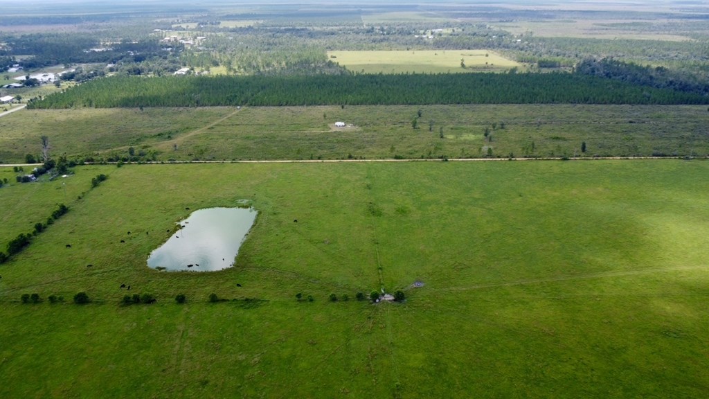Tbd Borders Road Wewahitchka, FL 32465 - Photo 9 of 14