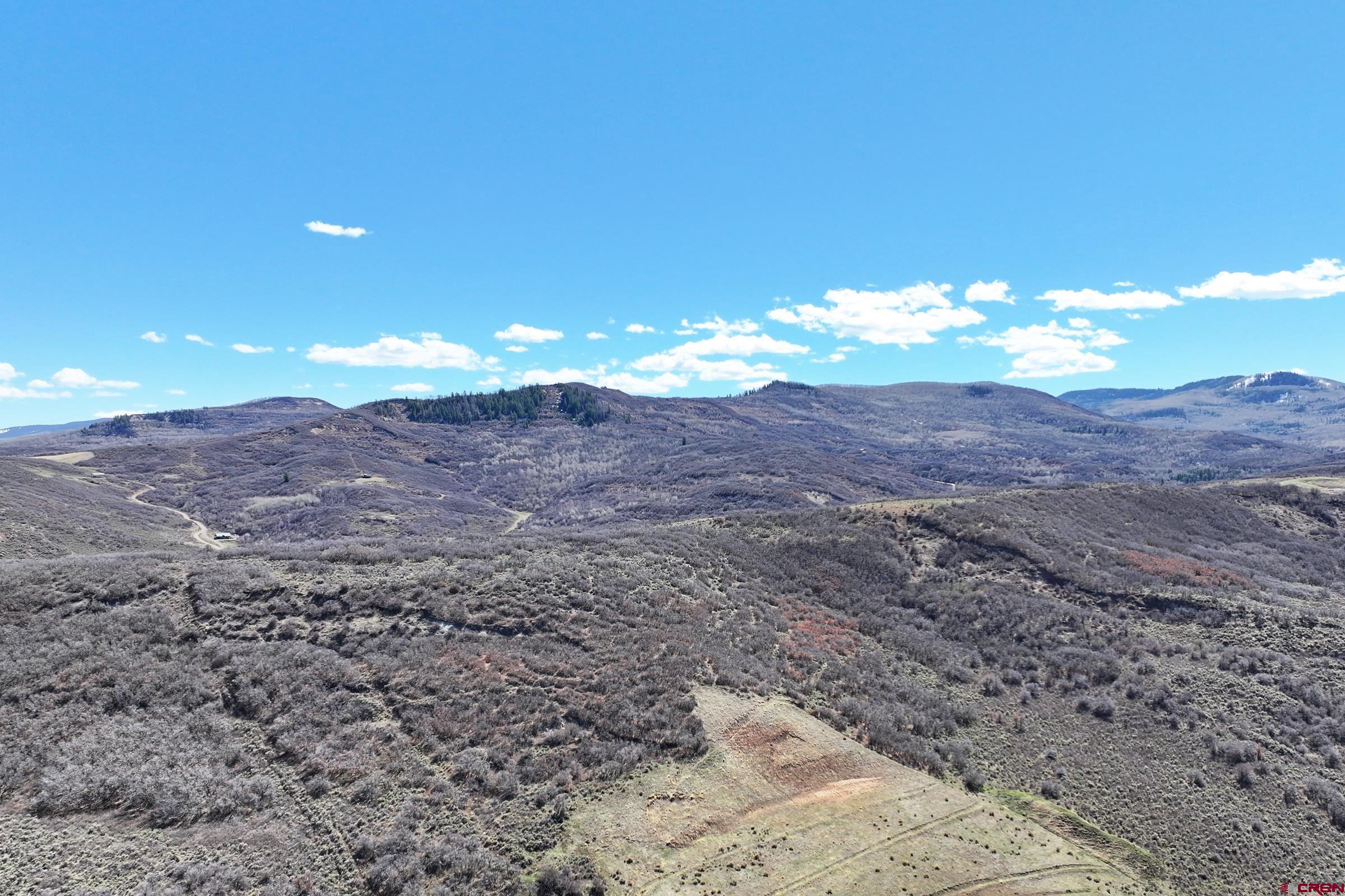 Tbd Tbd Tbd Collbran, CO 81624 - Photo 3 of 4 a view of a dry yard with mountains in the background