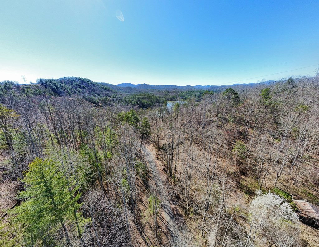 95 Cateye Road Robbinsville, NC 28771 - Photo 6 of 18 Gallery Image 6