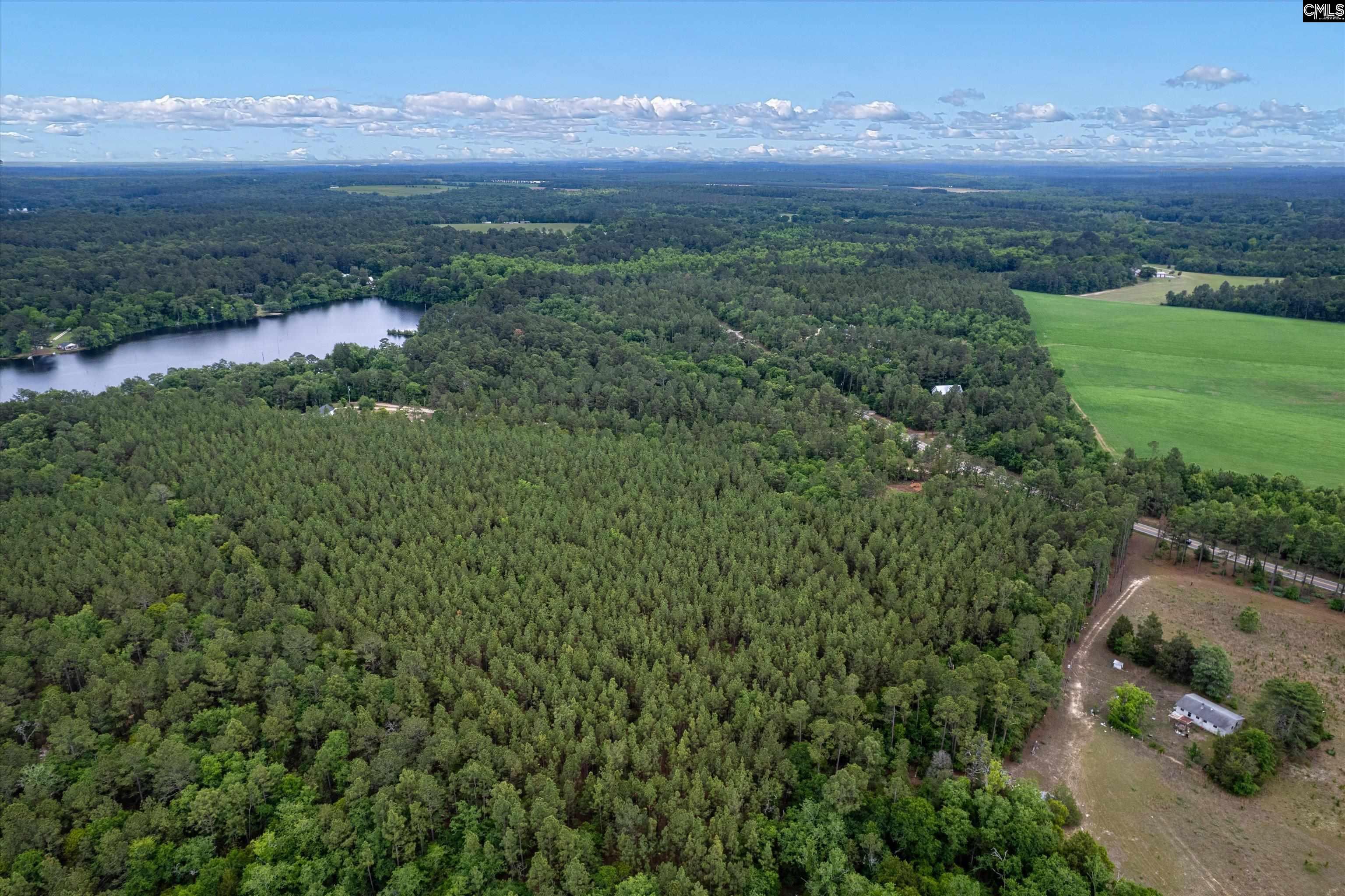 0 Pond Branch Road Gilbert, SC 29054 - Photo 12 of 12