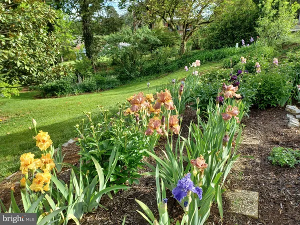 $399,000 | 147 South Court Street, Luray, VA 22835