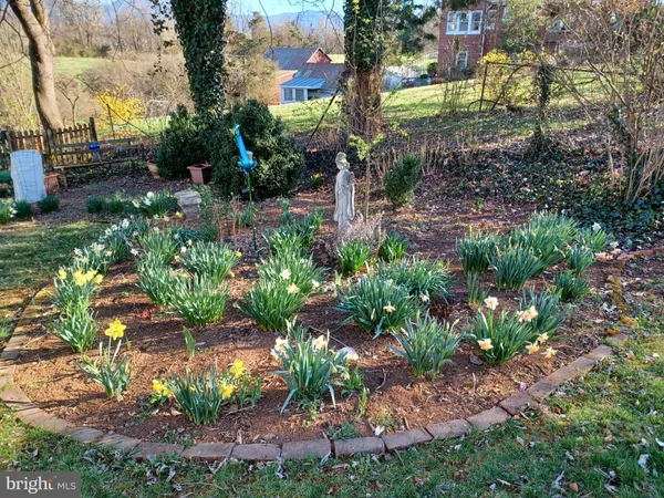 $399,000 | 147 South Court Street, Luray, VA 22835