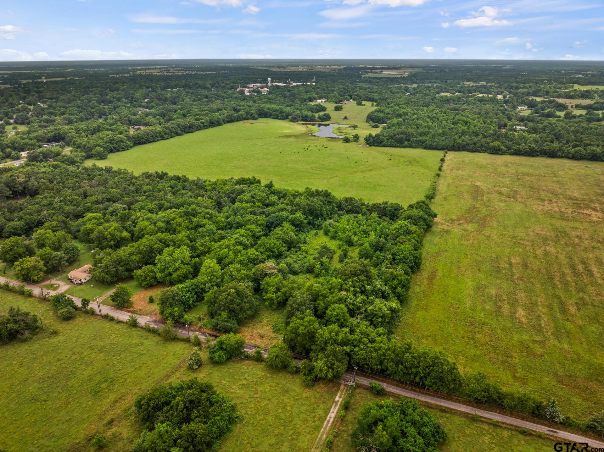 436 Grady Street Mount Vernon, TX 75457 - Photo 12 of 18 a view of a city