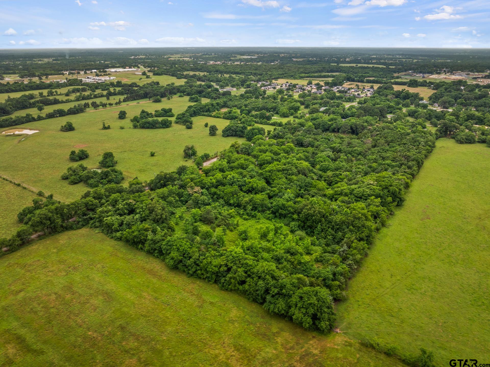 436 Grady Street Mount Vernon, TX 75457 - Photo 13 of 18 a view of lake with ocean