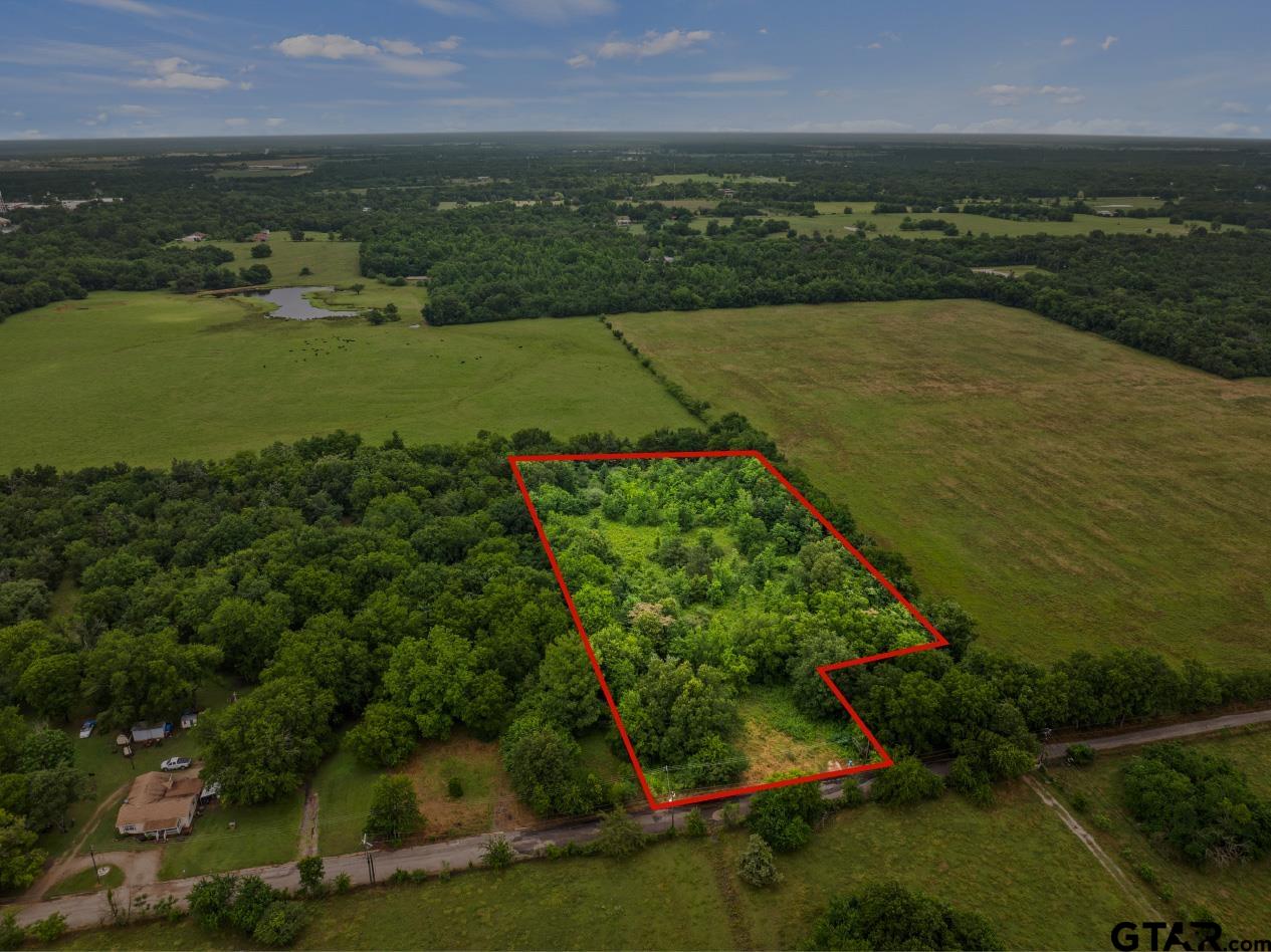 436 Grady Street Mount Vernon, TX 75457 - Photo 15 of 18 an aerial view of beach and residential houses with outdoor space
