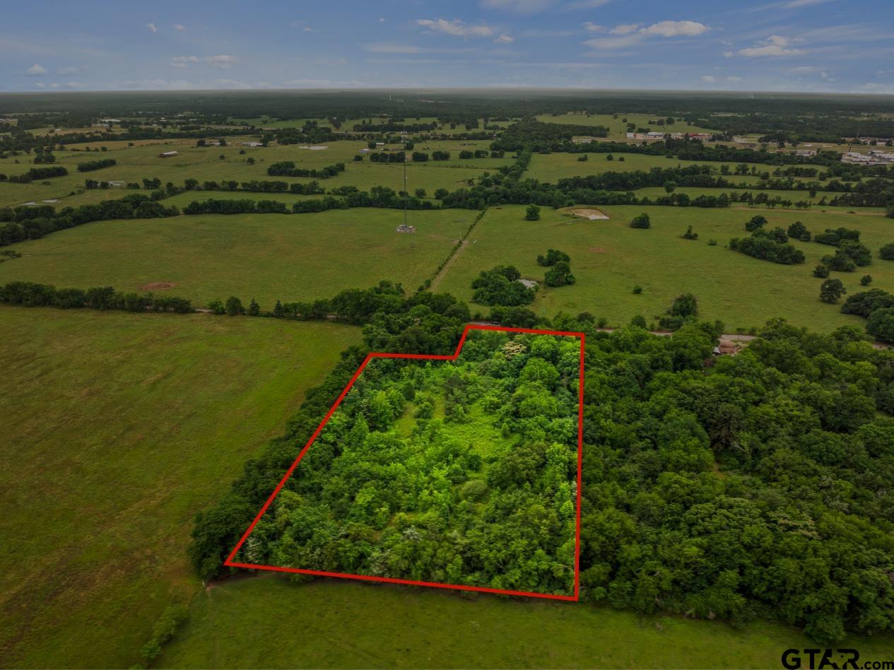 436 Grady Street Mount Vernon, TX 75457 - Photo 17 of 18 a view of a city with a lake