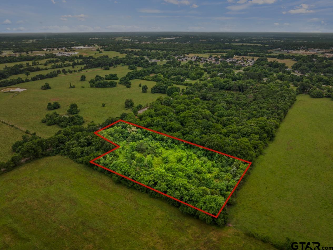 436 Grady Street Mount Vernon, TX 75457 - Photo 18 of 18 a view of a green field with an ocean view