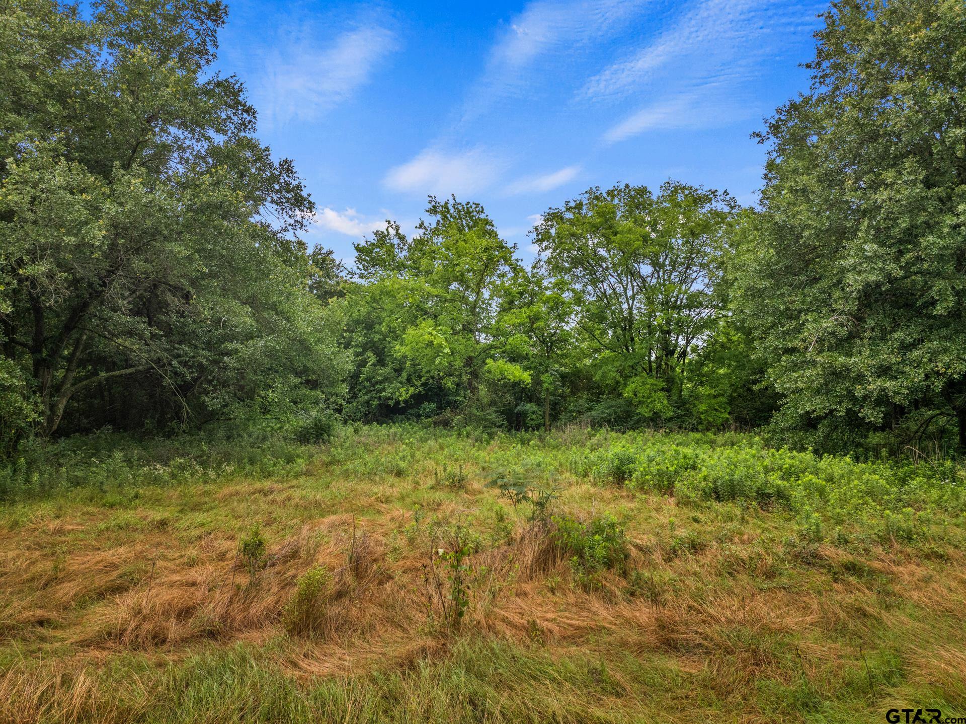 436 Grady Street Mount Vernon, TX 75457 - Photo 2 of 18 a view of a yard