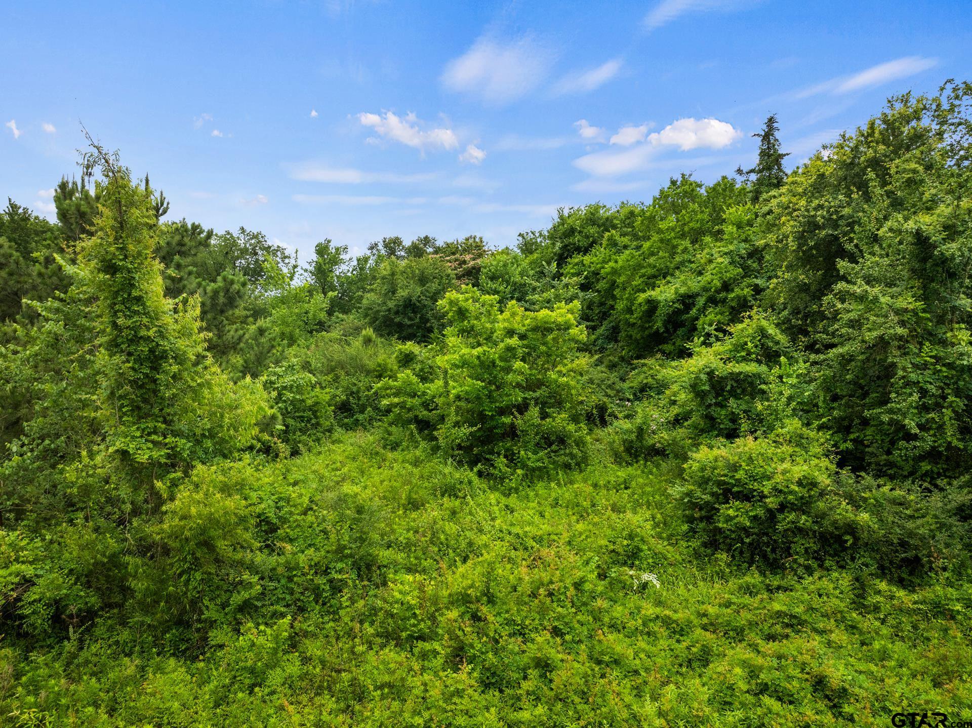 436 Grady Street Mount Vernon, TX 75457 - Photo 4 of 18