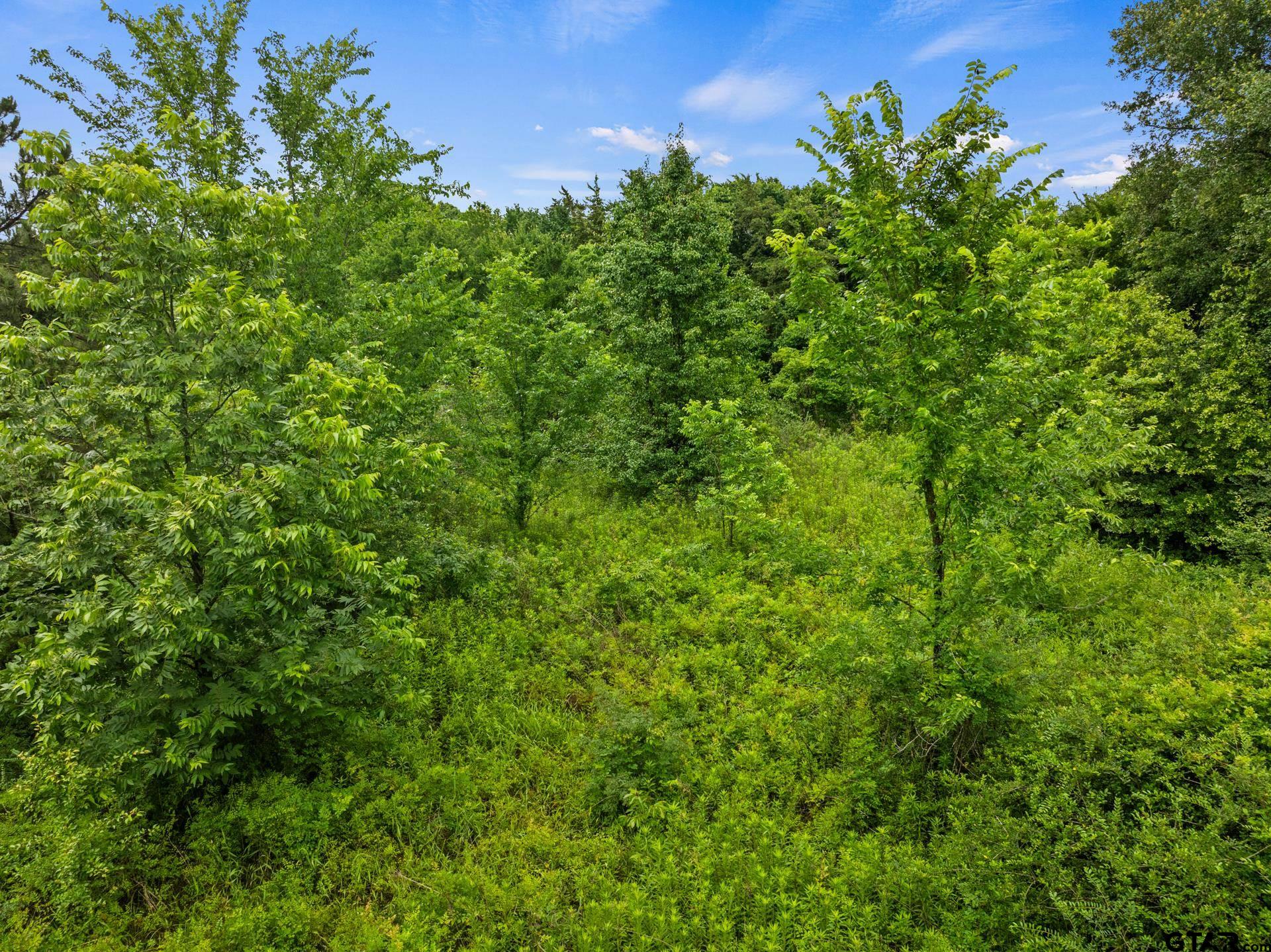 436 Grady Street Mount Vernon, TX 75457 - Photo 5 of 18 a view of a green field
