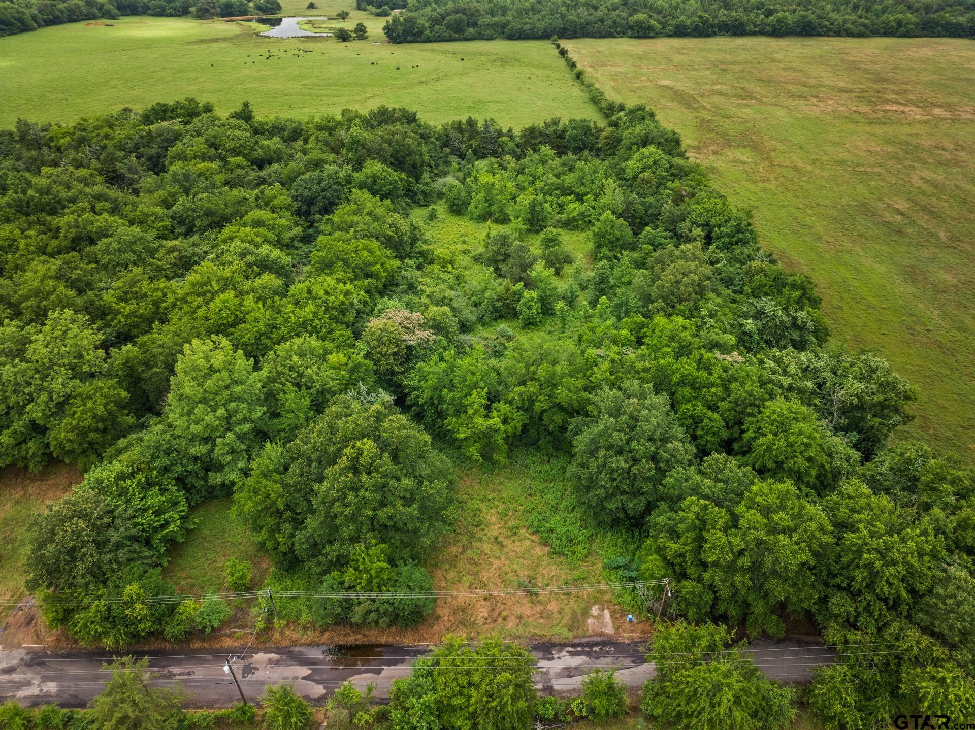 436 Grady Street Mount Vernon, TX 75457 - Photo 8 of 18 a view of a garden with an outdoor space