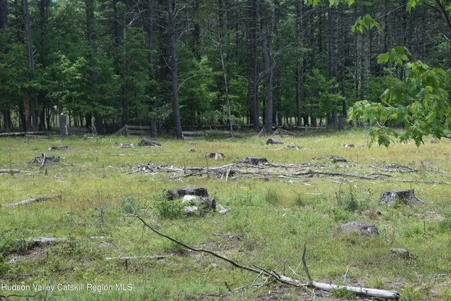 a view of a outdoor space