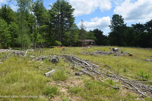a view of a road with a yard