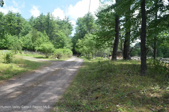 a big yard with lots of green space and trees