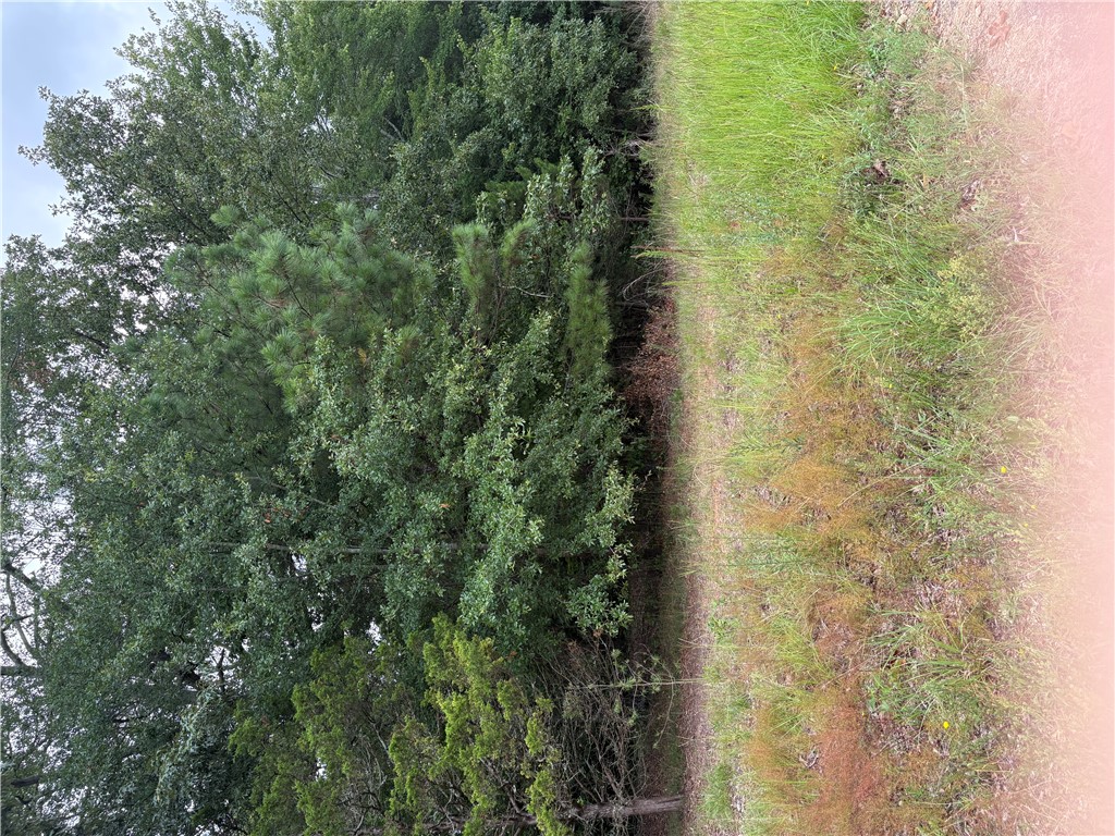 170 Railroad Street Liberty, SC 29657 - Photo 2 of 12