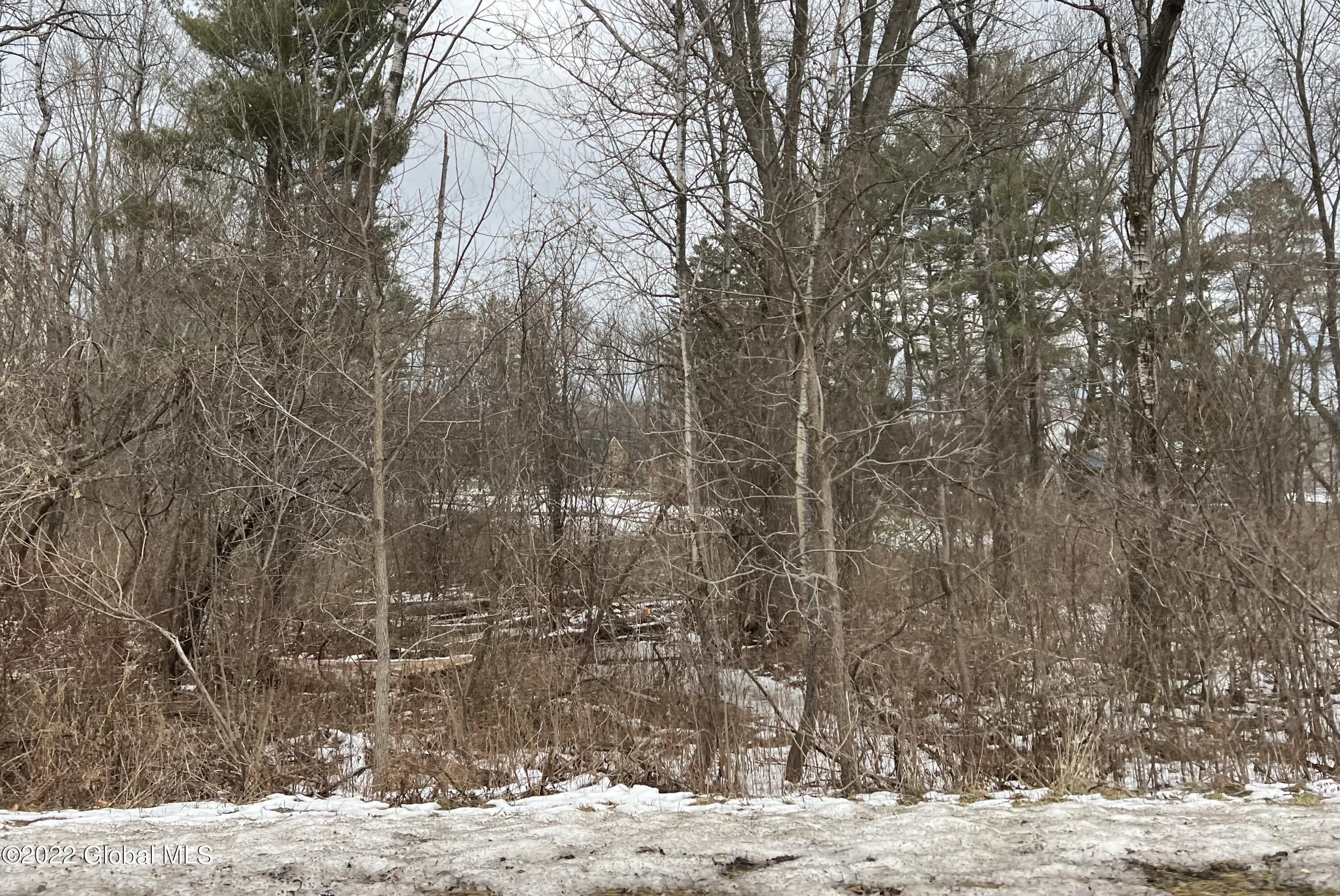 7099 Chandler Road Altamont, NY 12009 - Photo 10 of 12 Photo Dec 30 2022, 12 24 47 PM