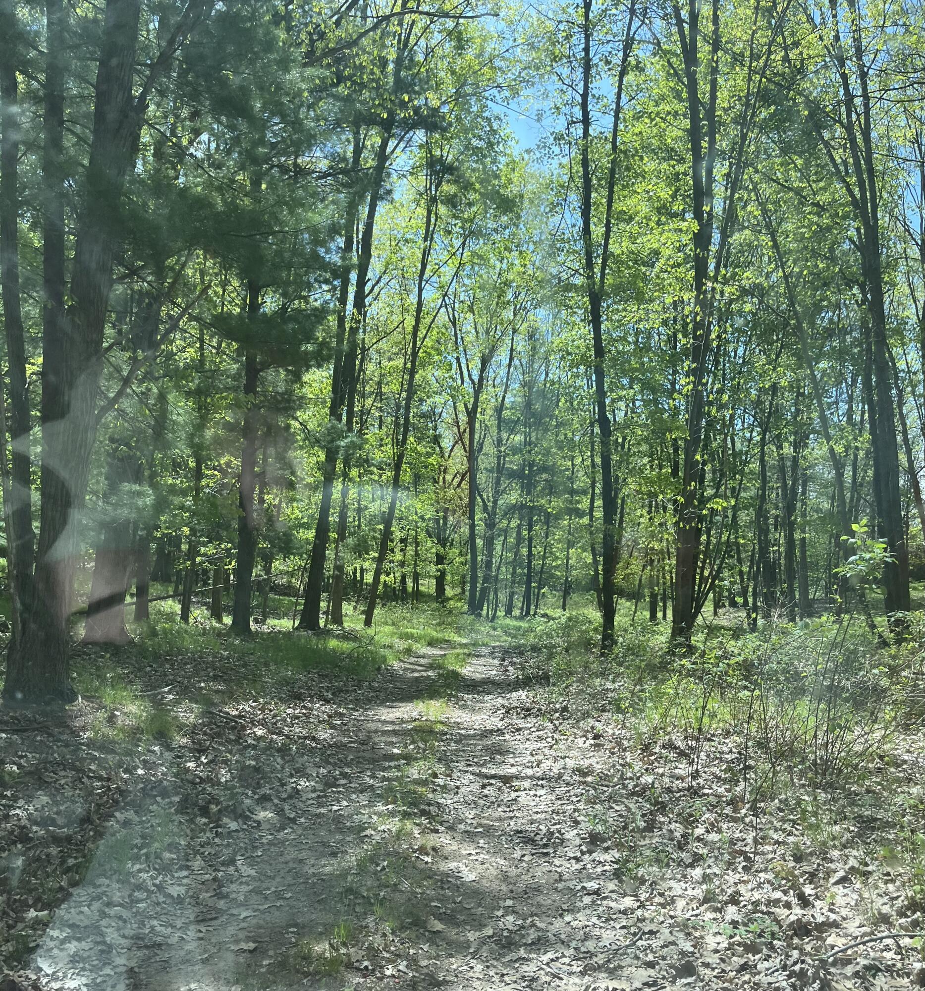 3685 Cypress Road Blanchard, MI 49310 - Photo 2 of 7 IMG_9454