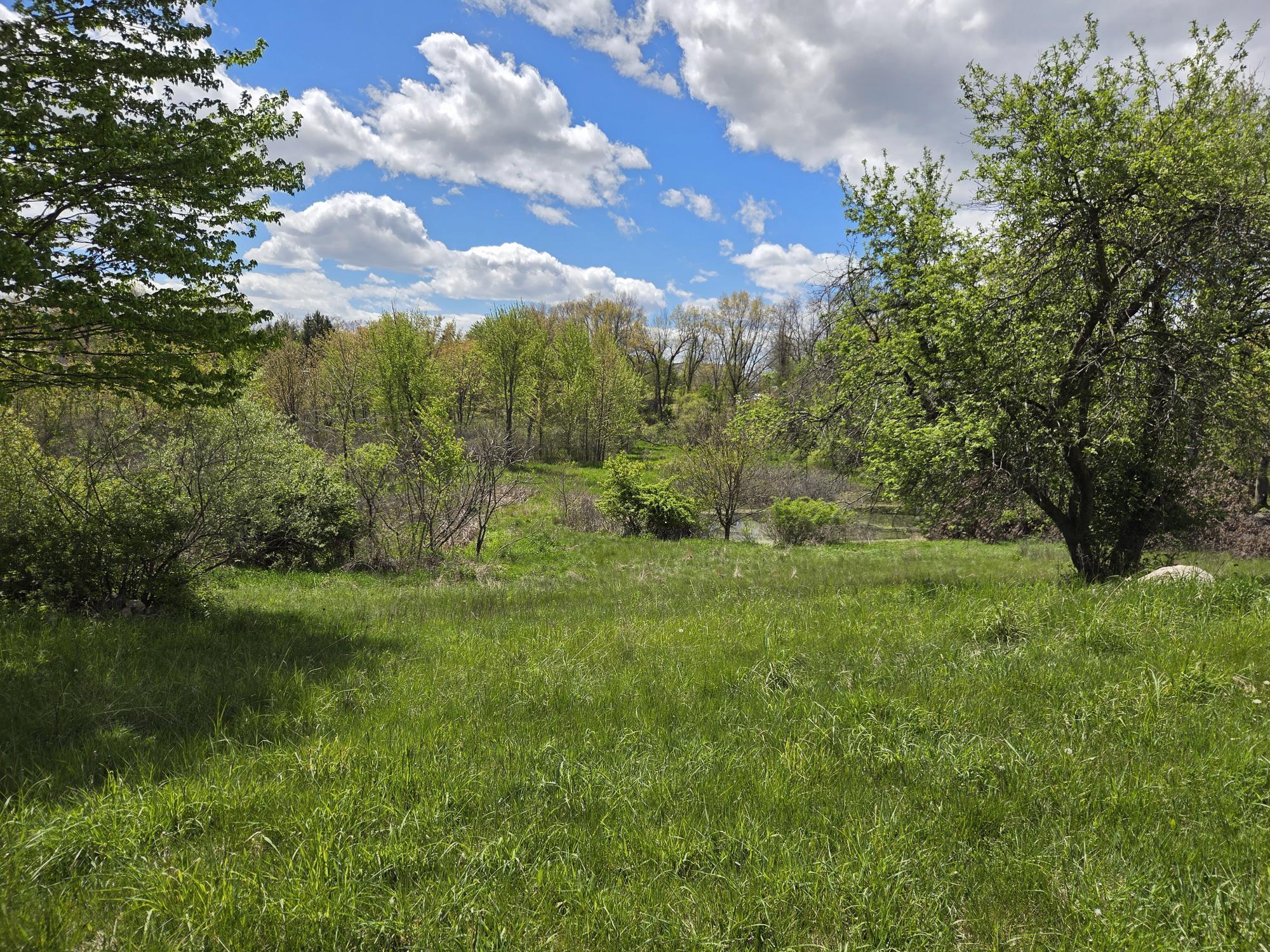 2901 Callahan Road Albion, MI 49224 - Photo 25 of 30 20260510_142242