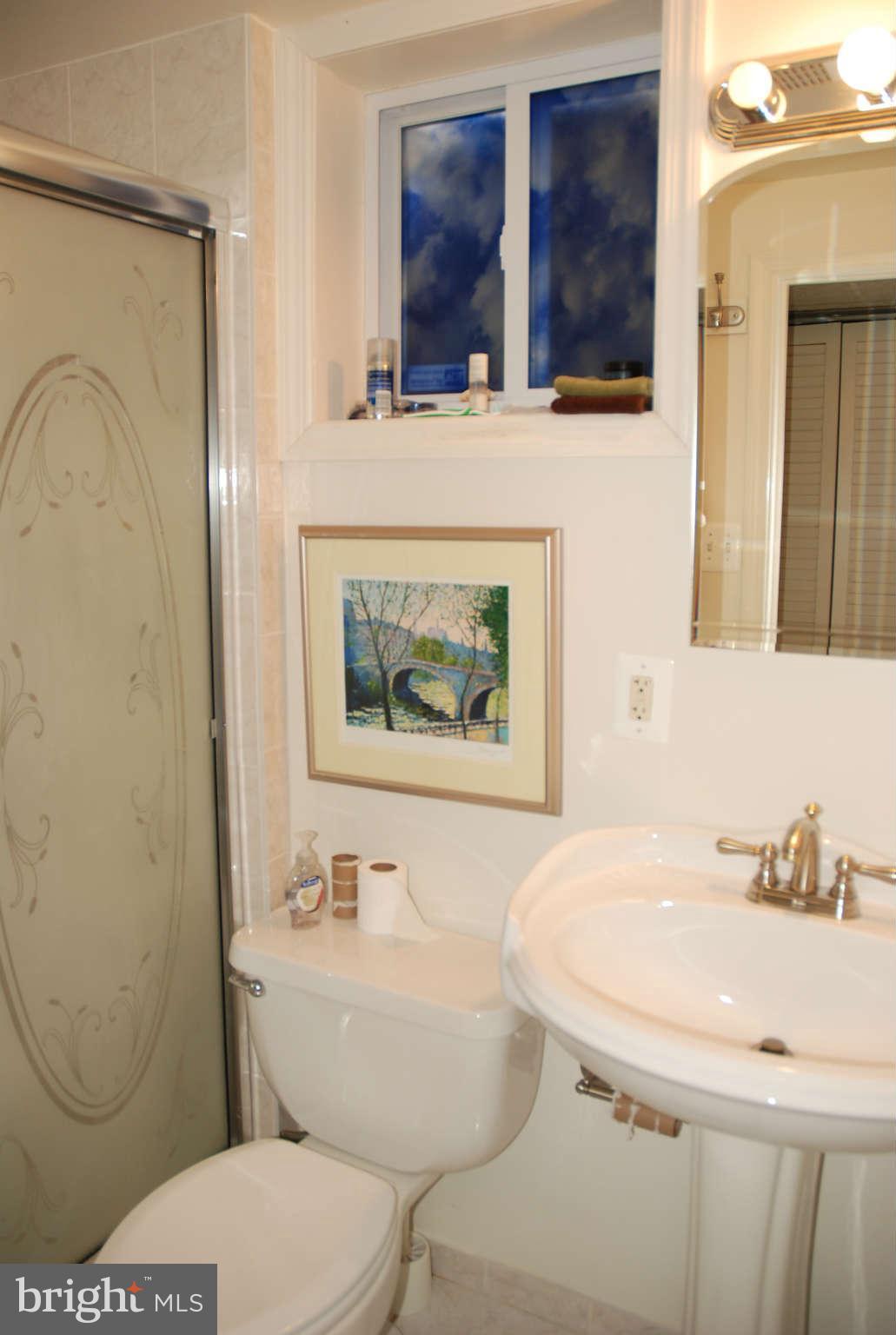 4100 Delancy Drive Silver Spring, MD 20906 - Photo 10 of 20 a bathroom with a toilet a sink and mirror