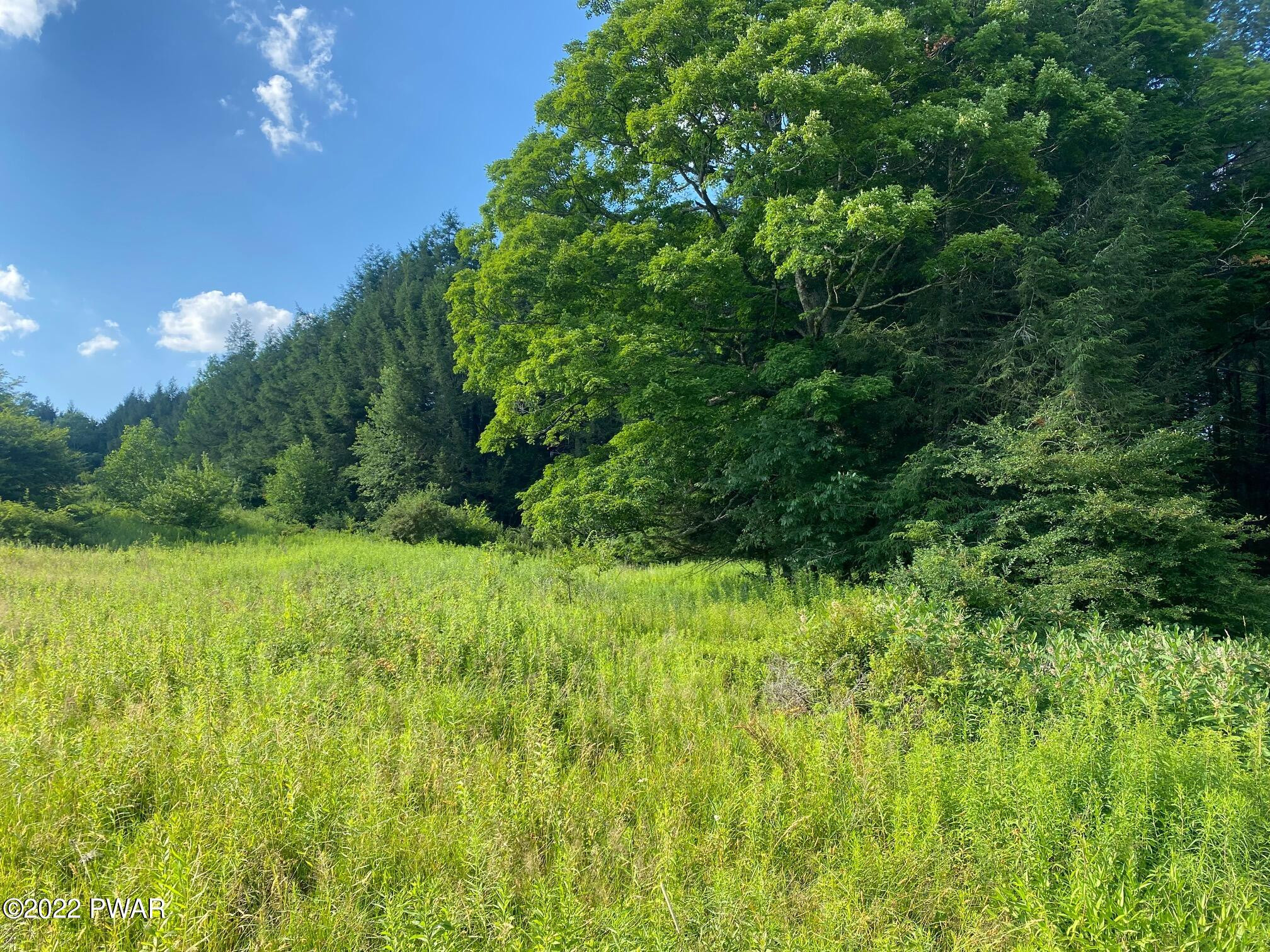 Calkins Road Milanville, PA 18443 - Photo 13 of 30