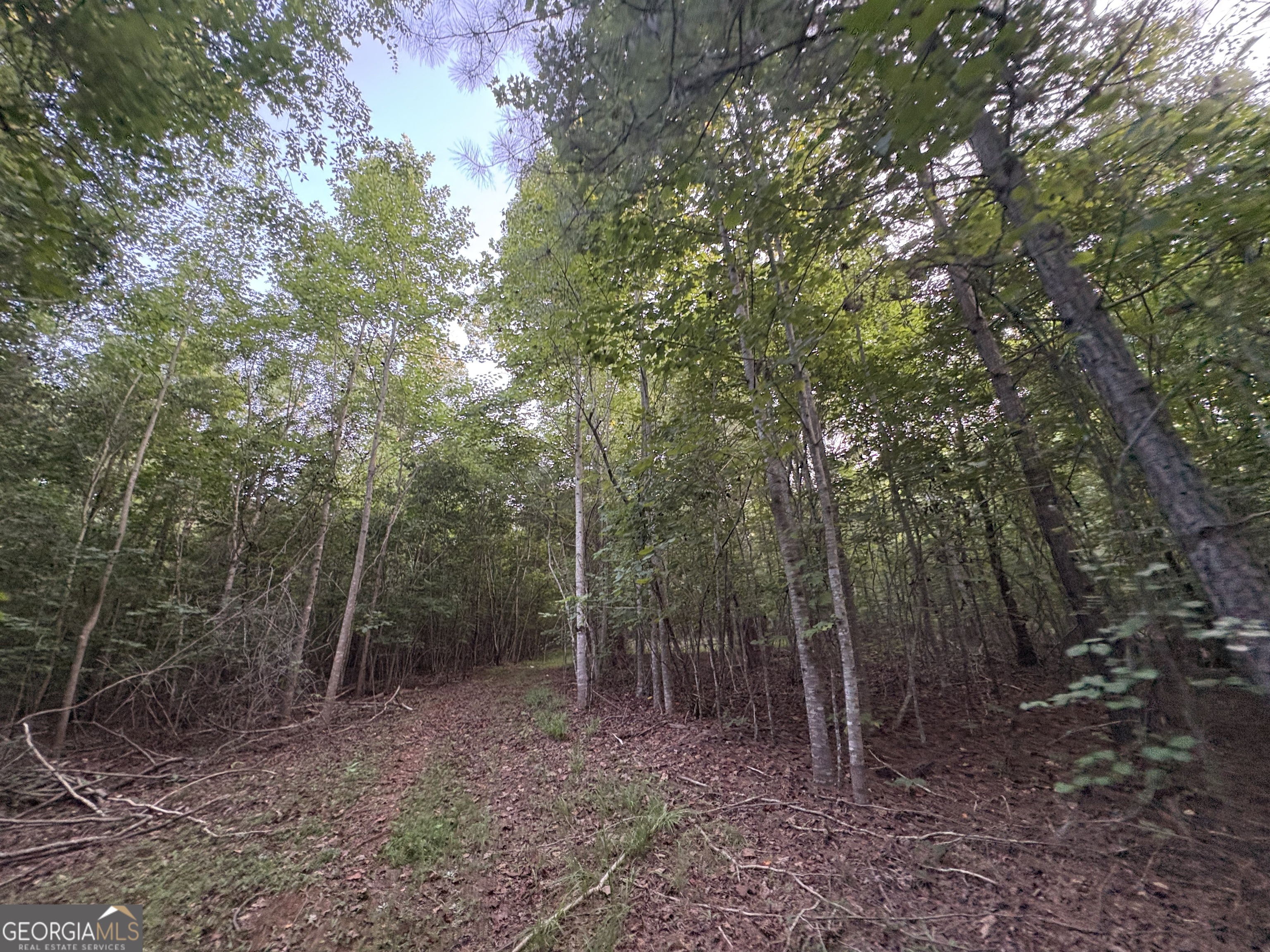 6 Bunch Road Tignall, GA 30668 - Photo 27 of 41 Gallery Image 27