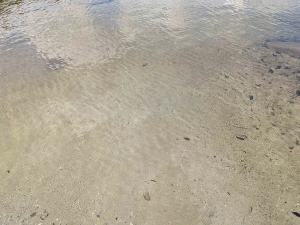 $549,000 | 63 Bradley Road, Averill, VT 05901