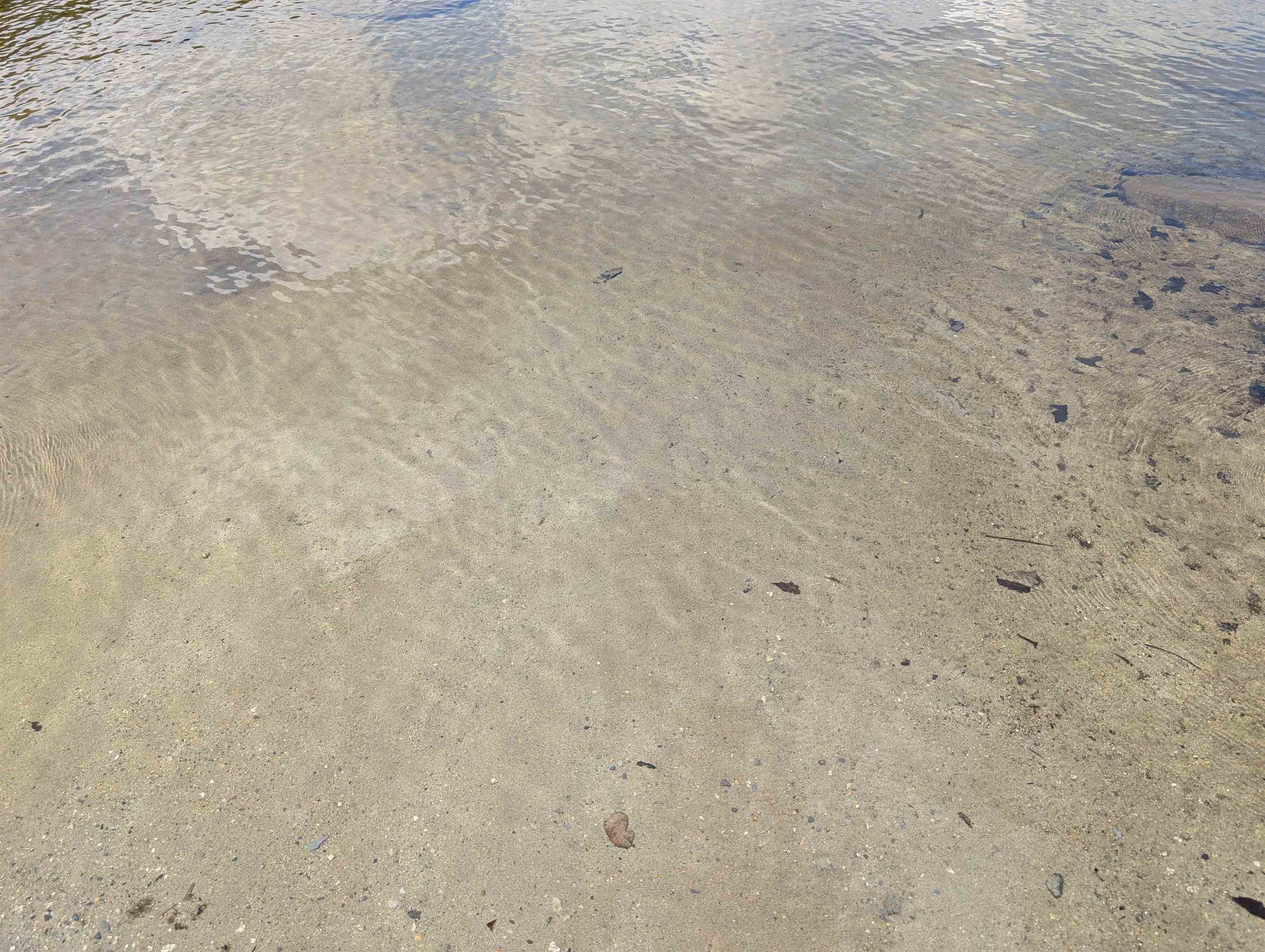 63 Bradley Road Averill, VT 05901 - Photo 27 of 34