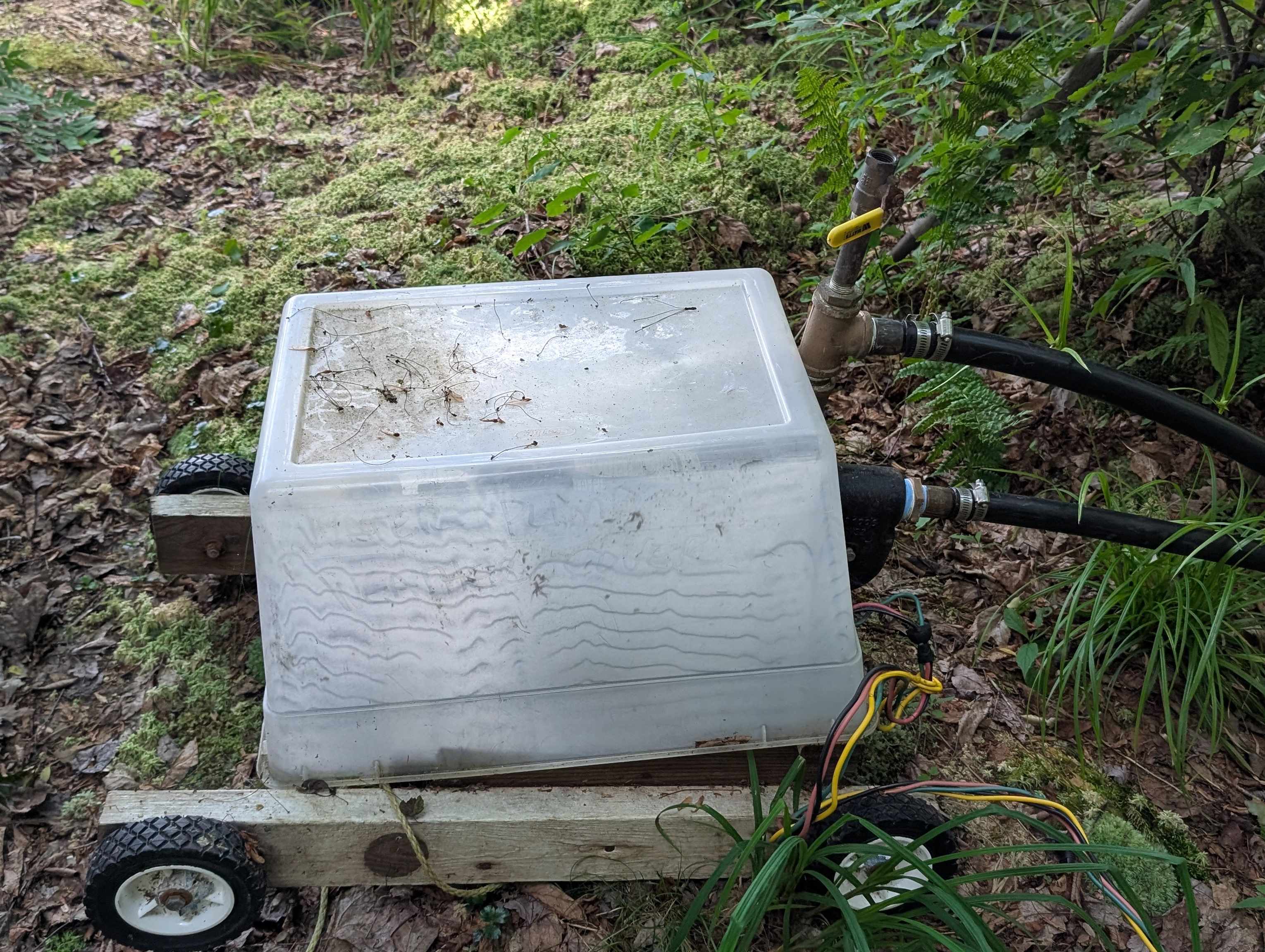 63 Bradley Road Averill, VT 05901 - Photo 34 of 34