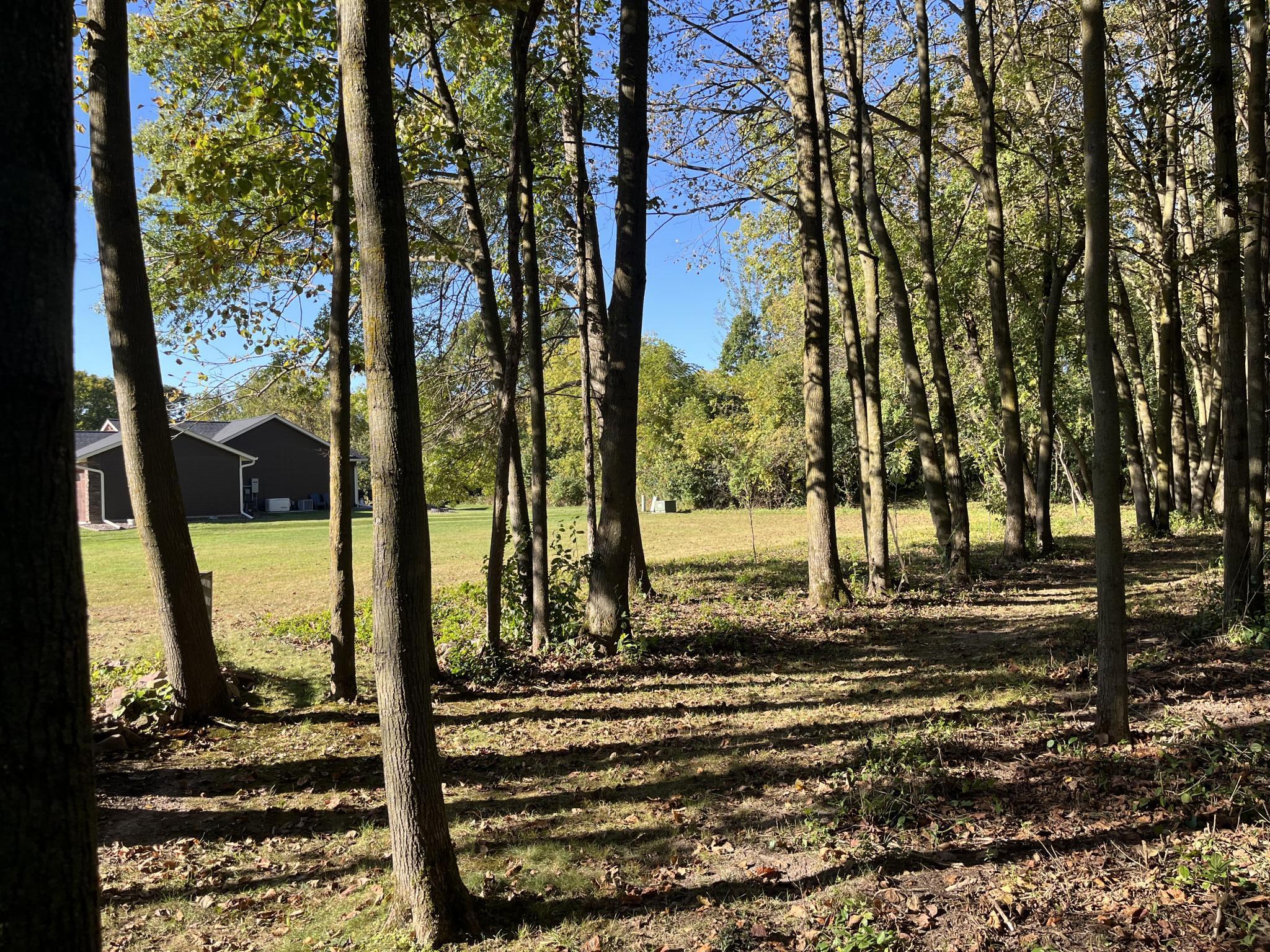 917 Scharbillig Court Rice Lake, WI 54868 - Photo 11 of 17