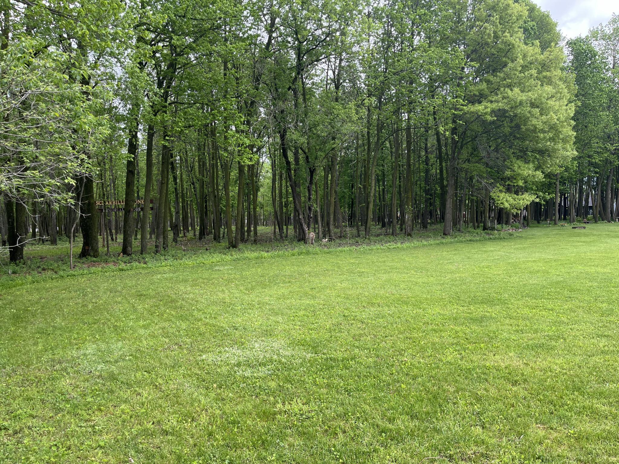 917 Scharbillig Court Rice Lake, WI 54868 - Photo 13 of 17