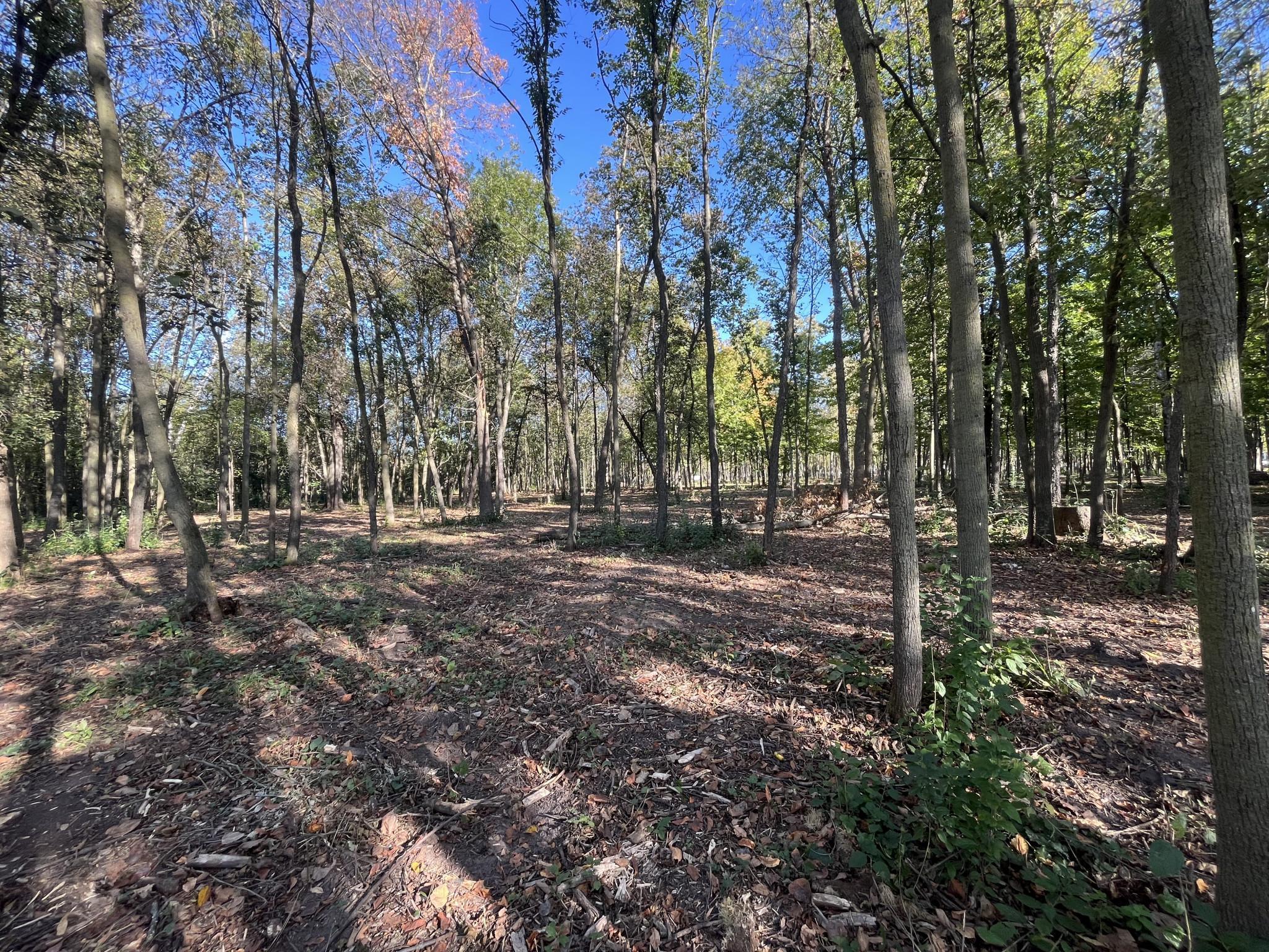 917 Scharbillig Court Rice Lake, WI 54868 - Photo 14 of 17