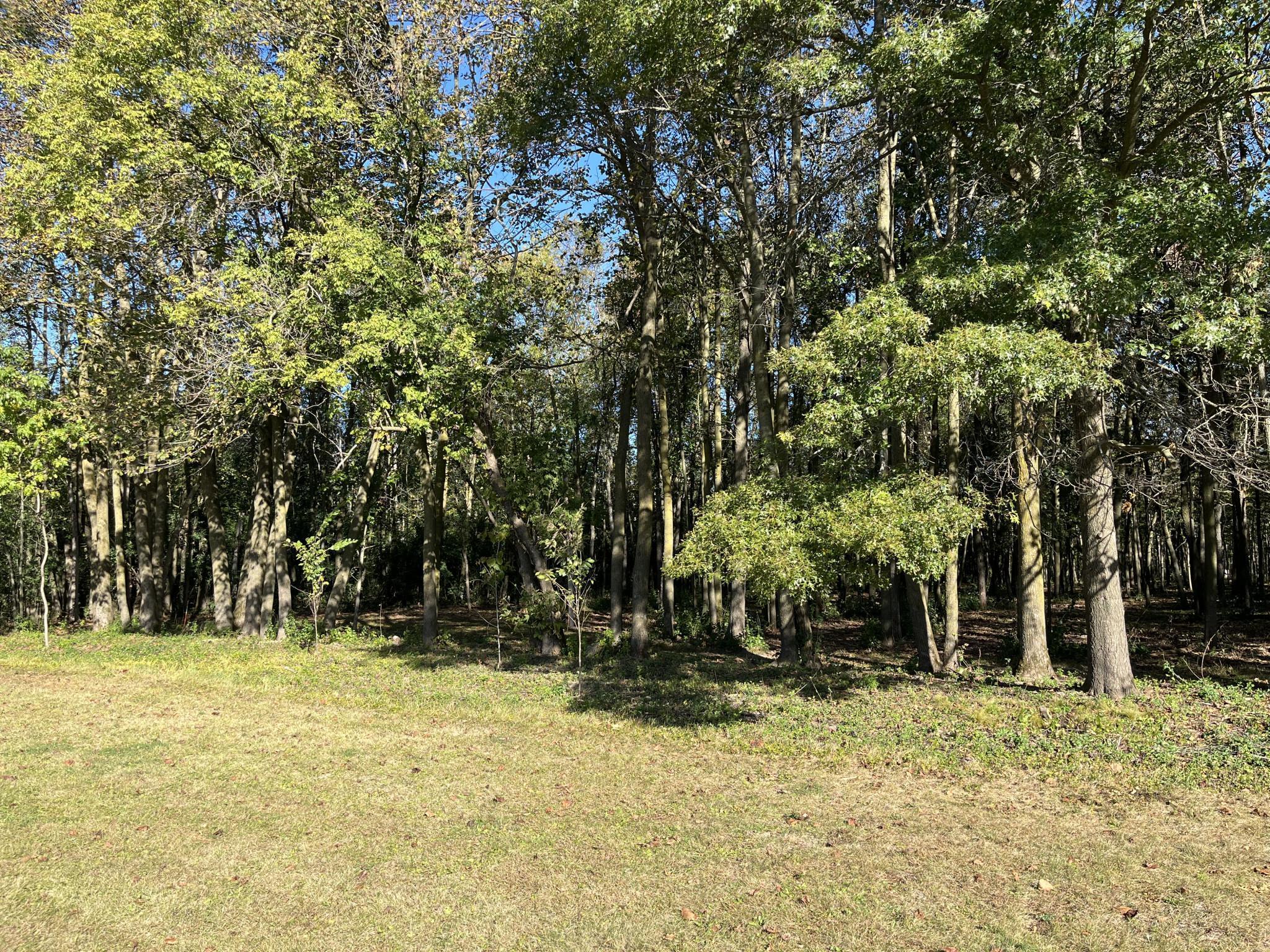 917 Scharbillig Court Rice Lake, WI 54868 - Photo 3 of 17