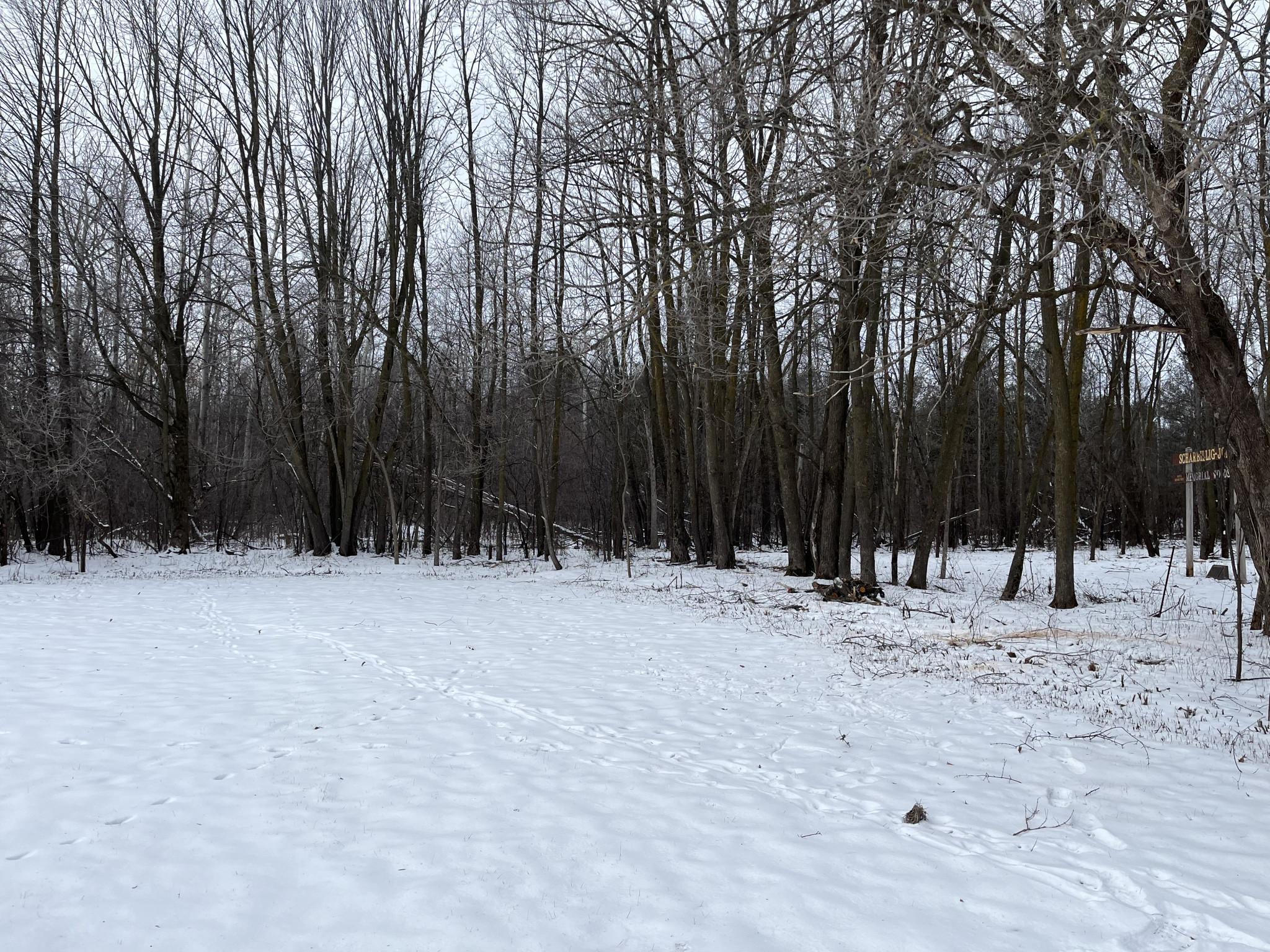 917 Scharbillig Court Rice Lake, WI 54868 - Photo 10 of 17