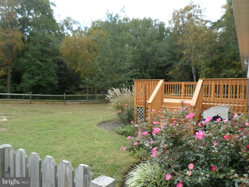 6165 Morris Road Pittsville, MD 21850 - Photo 38 of 39 Gallery Image 38