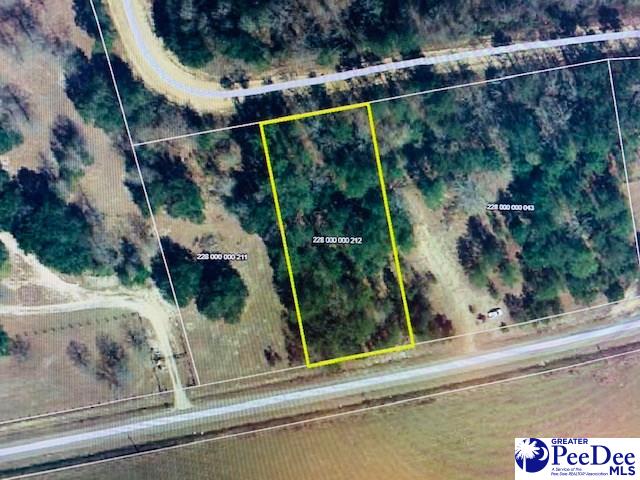 Lot 31 Cattle Ridge Road Cheraw, SC 29520 - Photo 1 of 1 Gallery Image 1